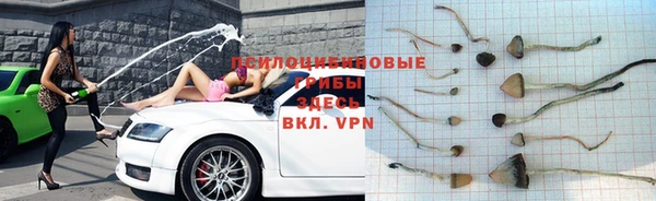 прущая мука Балахна
