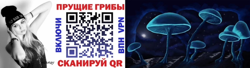 Галлюциногенные грибы Magic Shrooms  Шелехов 